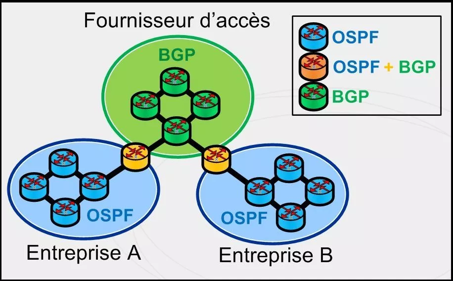 Routage dynamique - IGP + EGP