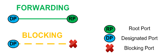 Protocole STP - Designated port