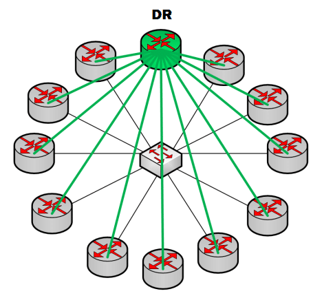 DR (Designated Router)