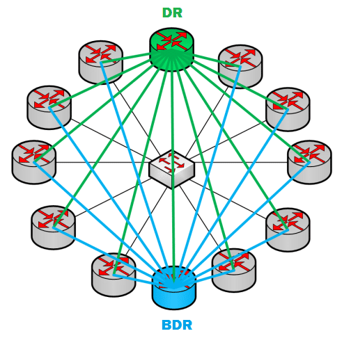 BDR (Backup Designated Router).